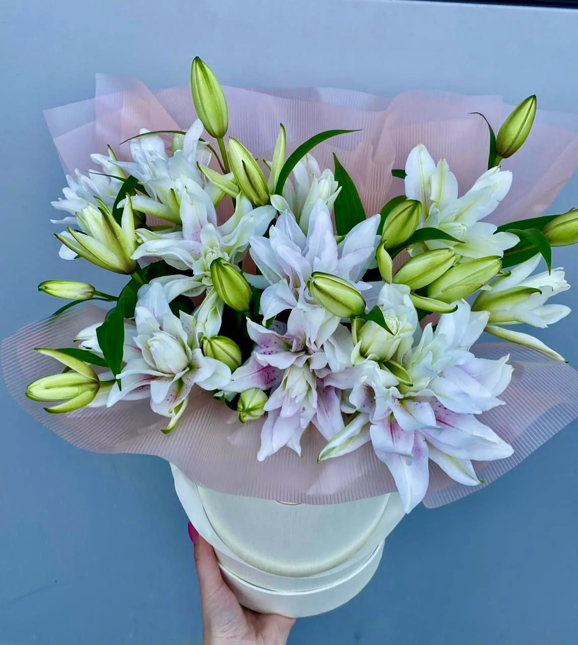 Цветы на Татьянин день