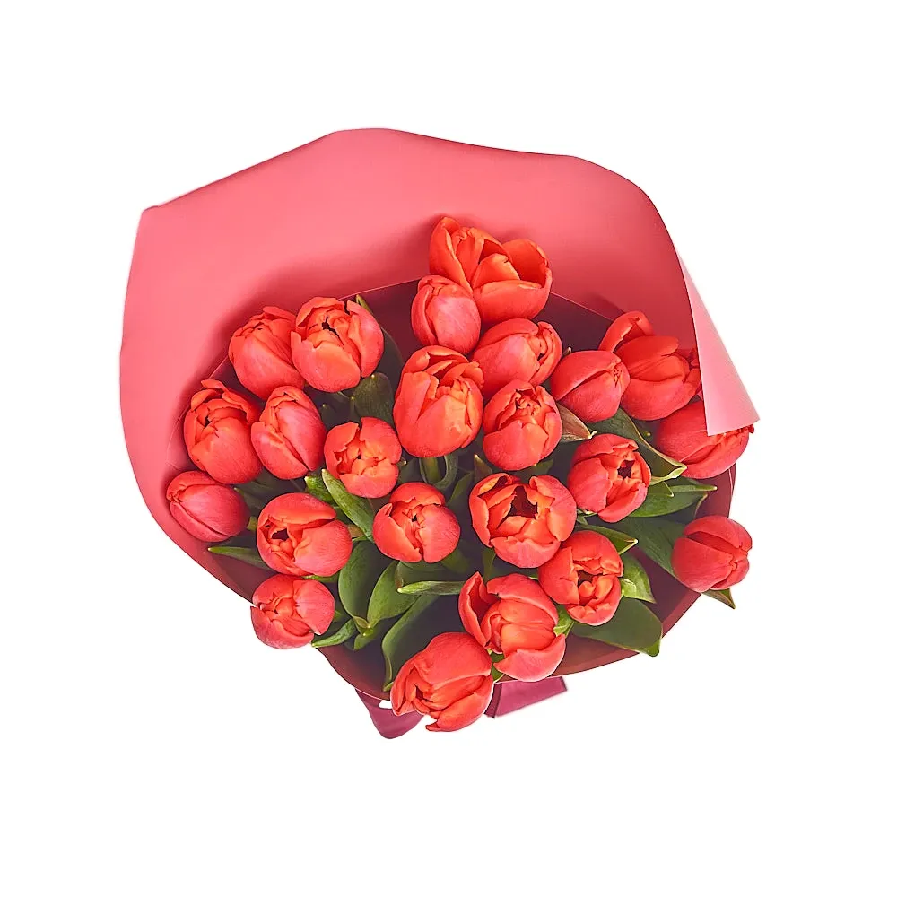 Букет из 25 красных тюльпанов