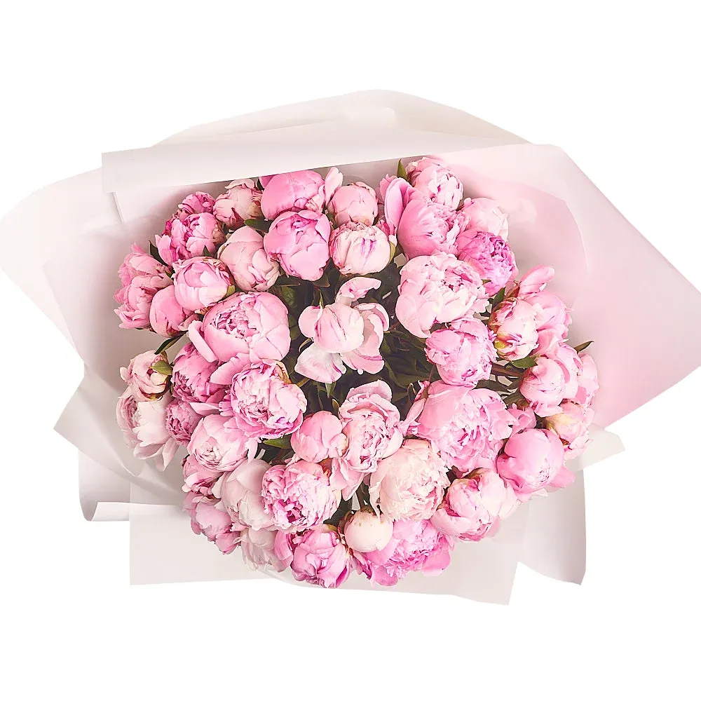 Букет из 51 розового пиона